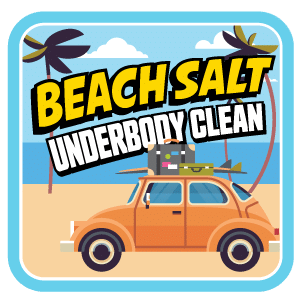 Beach Salt Underbody Clean